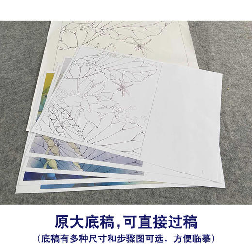 【有步骤、大彩图】李晓明工笔画白描稿斗方小品《地涌金莲》荷花初学者临摹勾线花鸟线稿KB10 商品图1