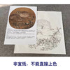 【有步骤、大彩图】李晓明工笔画白描底稿小品《临宋野卉秋鹑图》鹌鹑初学者临摹花鸟线稿KC09 商品缩略图2