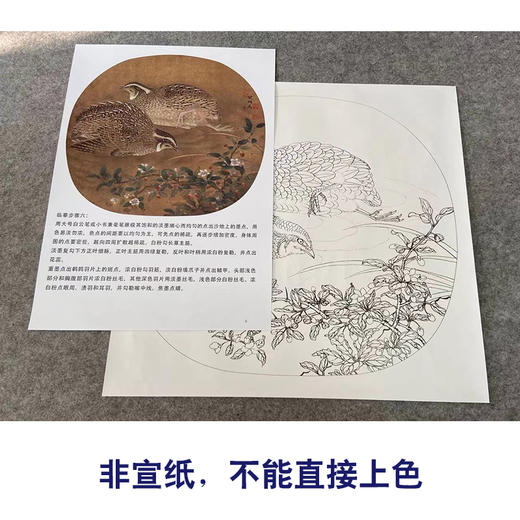 【有步骤、大彩图】李晓明工笔画白描底稿小品《临宋野卉秋鹑图》鹌鹑初学者临摹花鸟线稿KC09 商品图2