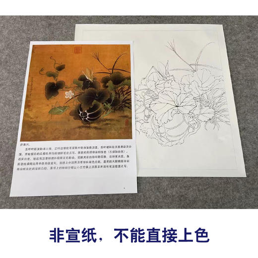 有步骤大彩图李晓明工笔画白描底稿瓜果临宋螽斯绵瓞