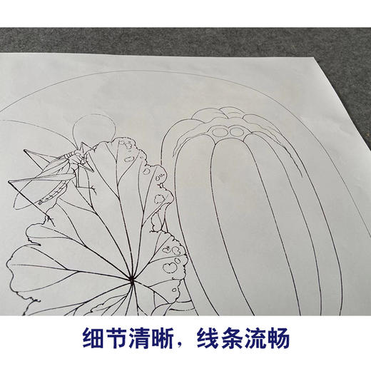 有步骤大彩图李晓明工笔西瓜小品画白描底稿临宋草虫瓜实图kc02