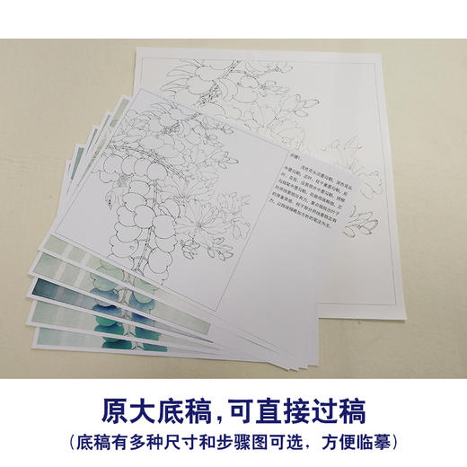 【有步骤、大彩图】李晓明工笔画白描底稿斗方《绣眼紫荆花》初学者高清打印稿KB30 商品图1