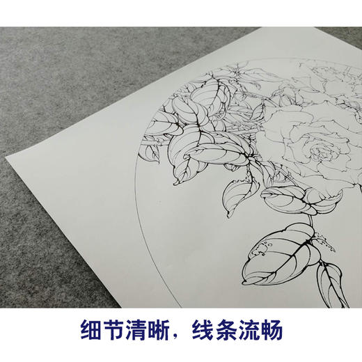 【有步骤、大彩图】李晓明工笔画白描底稿圆形小品《月季写真图》月季临摹勾线花鸟线稿KB05 商品图4