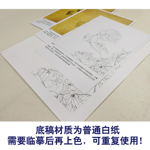 【有步骤、大彩图】李晓明工笔画白描底稿斗方小品《国色双辉》牡丹初学者临摹花鸟线稿KB34 商品图3