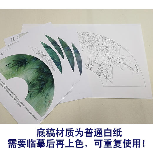 【有步骤、大彩图】李晓明工笔画白描底稿扇面小品《竹海清音》竹子初学者临摹花鸟线稿KB40 商品图3