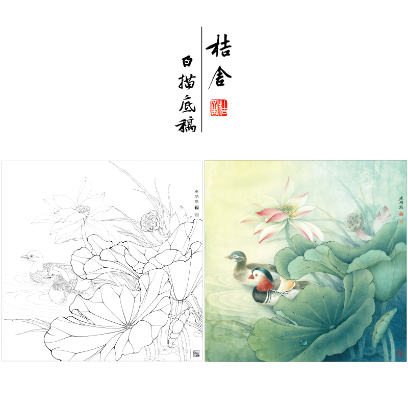 【有步骤、大彩图】李晓明工笔白描底稿斗方小品《鸳鸯荷花图》初学者临摹花鸟线稿KB08