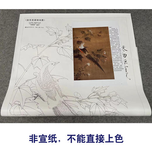 【有步骤、大彩图】李晓明工笔画白描底稿《临宋芙蓉锦鸡图》锦鸡蝴蝶初学者临摹花鸟线稿KC22 商品图2