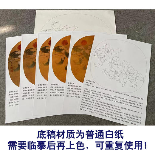 【有步骤、大彩图】李晓明工笔花鸟画白描底稿圆形小品《临宋雪霁山茶图》茶花初学者临摹花鸟线稿KC08 商品图3
