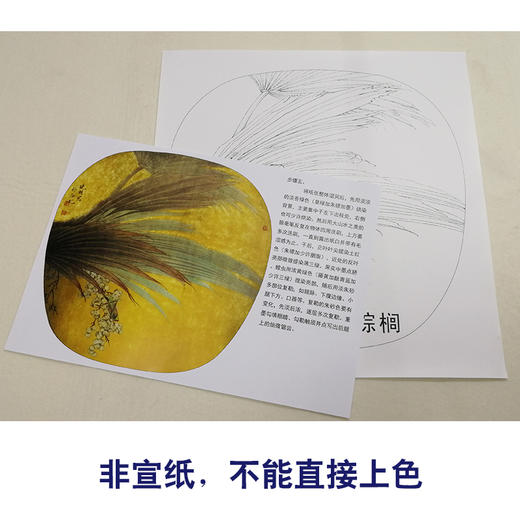 【有步骤、大彩图】李晓明工笔画白描底稿小品《蚱蜢棕榈》初学者临摹花鸟线稿KB37 商品图2