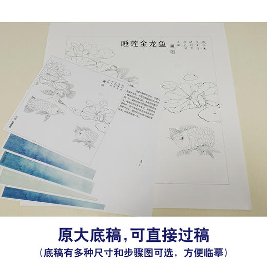 【有步骤、大彩图】李晓明工笔画白描底稿斗方《睡莲金龙鱼》荷花临摹勾线花鸟线稿KB29 商品图1