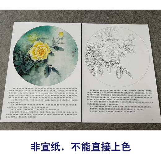 【有步骤、大彩图】李晓明工笔画白描底稿圆形小品《月季写真图》月季临摹勾线花鸟线稿KB05 商品图2