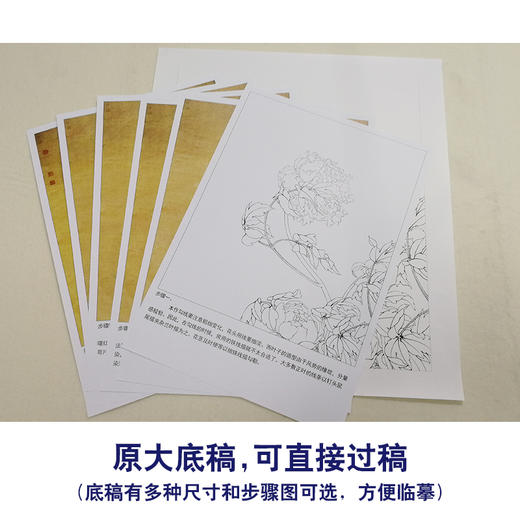 【有步骤、大彩图】李晓明工笔画白描底稿斗方小品《国色双辉》牡丹初学者临摹花鸟线稿KB34 商品图1