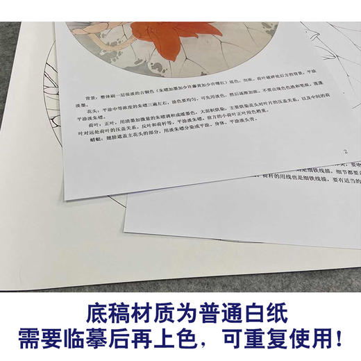 【有步骤、大彩图】李晓明工笔画白描底稿圆形小品《朱砂荷》荷花临摹勾线花鸟线稿KB06 商品图3