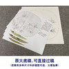 【有步骤、大彩图】李晓明工笔画白描底稿圆形小品《临宋碧桃图》桃花初学者临摹花鸟线稿KC27 商品缩略图1
