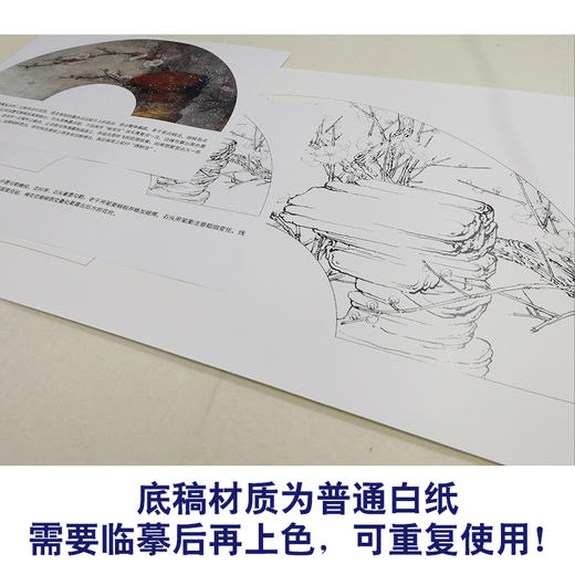 【有步骤、大彩图】李晓明工笔画白描底稿扇面《梅花》初学者临摹花鸟线稿KB39 商品图3
