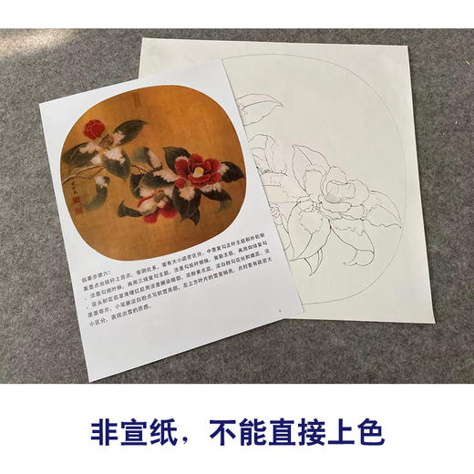 【有步骤、大彩图】李晓明工笔花鸟画白描底稿圆形小品《临宋雪霁山茶图》茶花初学者临摹花鸟线稿KC08 商品图2