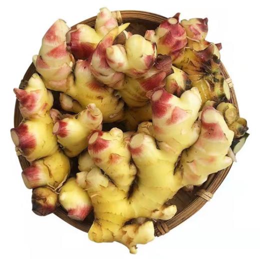 云南小黄姜、新鲜生姜、鲜香辛辣、姜味浓郁 商品图4