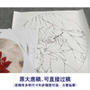 【有步骤、大彩图】李晓明工笔画白描底稿圆形小品《朱砂荷》荷花临摹勾线花鸟线稿KB06 商品缩略图1