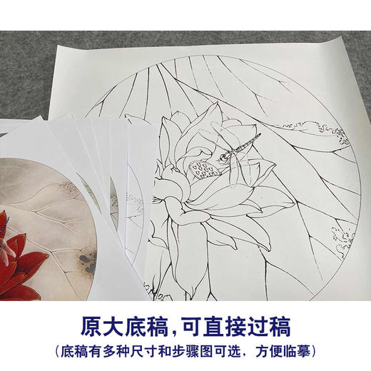 【有步骤、大彩图】李晓明工笔画白描底稿圆形小品《朱砂荷》荷花临摹勾线花鸟线稿KB06 商品图1