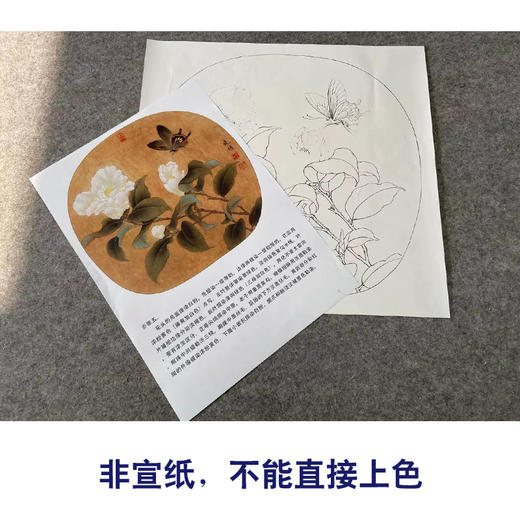 【有步骤、大彩图】李晓明工笔画白描底稿圆形小品《茶花蝴蝶图》初学者临摹花鸟线稿KC01 商品图2