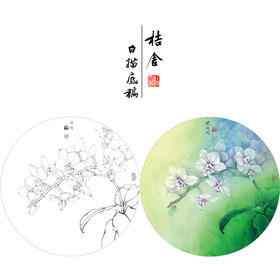 【有步骤、大彩图】李晓明工笔画白描稿小品《蝴蝶兰写真图》蝴蝶兰花临摹勾线花鸟线稿KB01