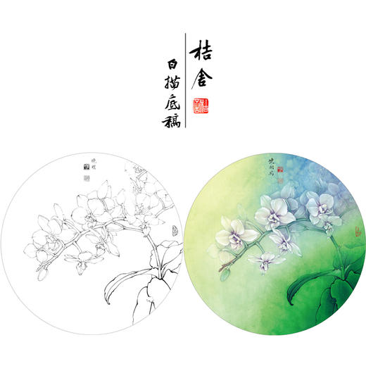 【有步骤、大彩图】李晓明工笔画白描稿小品《蝴蝶兰写真图》蝴蝶兰花临摹勾线花鸟线稿KB01 商品图0