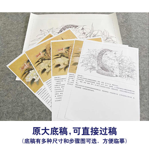 【有步骤、大彩图】李晓明工笔画白描底稿《临宋花篮图》花篮初学者临摹花鸟线稿KC15 商品图1