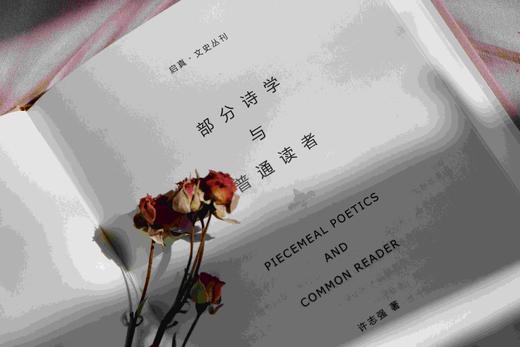 部分诗学与普通读者(精)/启真文史丛刊/许志强/浙江大学出版社 商品图3