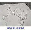 【有步骤、大彩图】李晓明工笔画白描底稿圆形小品《临宋林椿梅竹寒禽图》梅花禽鸟初学者临摹花鸟线稿KC06 商品缩略图4