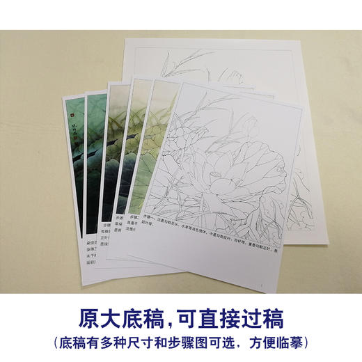 【有步骤、大彩图】李晓明工笔画白描底稿小品《粉荷清幽》荷花临摹勾线花鸟线稿KB19 商品图1