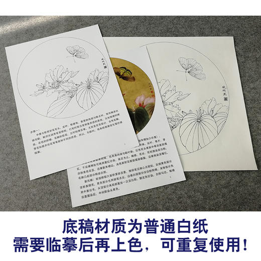 【有步骤、大彩图】李晓明工笔画白描稿圆形小品《紫荆裳凤蝶》蝴蝶初学者临摹勾线花鸟线稿KB07 商品图3