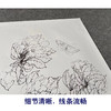 【有步骤、大彩图】李晓明工笔画白描底稿斗方小品《临宋海棠蛱蝶图》蝴蝶初学者临摹花鸟线稿KC13 商品缩略图4