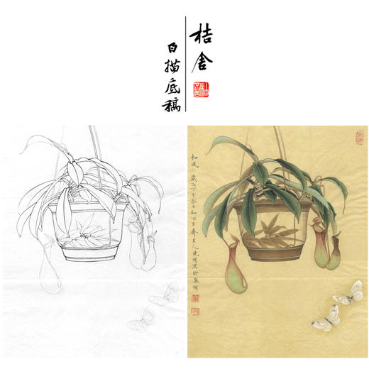 【有步骤、大彩图】李晓明工笔画白描底稿《悟宋系列和风》猪笼草初学者临摹花鸟线稿KB38 商品图0