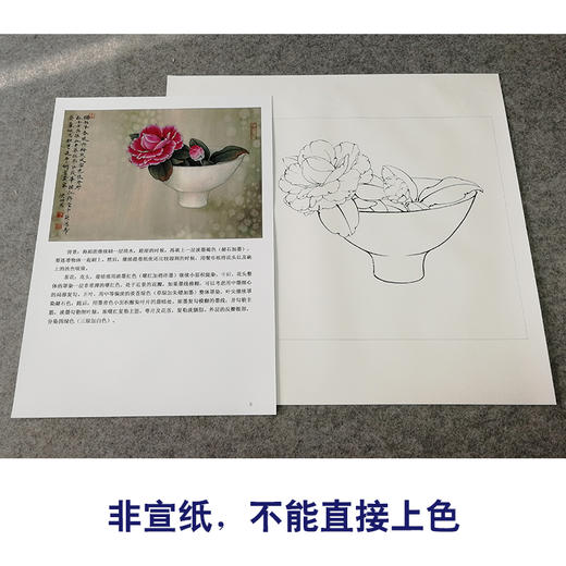 【有步骤、大彩图】李晓明工笔画白描底稿斗方小品《茶花写生图》初学者临摹勾线花鸟线稿KB11 商品图2