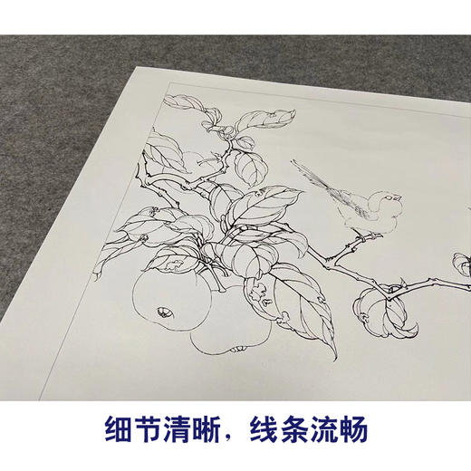 【有步骤、大彩图】李晓明工笔画白描底稿斗方小品《果熟来禽图》山雀桃枝临摹花鸟线稿KC29 商品图4