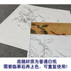 【有步骤、大彩图】李晓明工笔画白描底稿斗方小品《果熟来禽图》山雀桃枝临摹花鸟线稿KC29 商品缩略图3