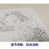 【有步骤、大彩图】李晓明工笔画白描底稿斗方小品《梨花小品》初学者高清打印稿 KB28 商品缩略图4