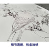 【有步骤、大彩图】李晓明工笔花鸟白描底稿斗方小品《玉兰黄鹂》初学者临摹高清打印稿KB25 商品缩略图4