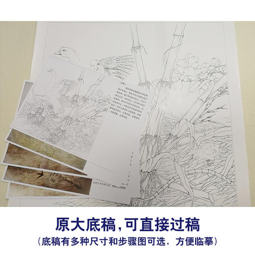 【有步骤、大彩图】李晓明工笔白描底稿斗方《竹林冬景》大鹅临摹勾线花鸟线稿KB32 商品图1