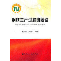 钢铁生产过程的脱磷/董元篪 王海川 商品图0