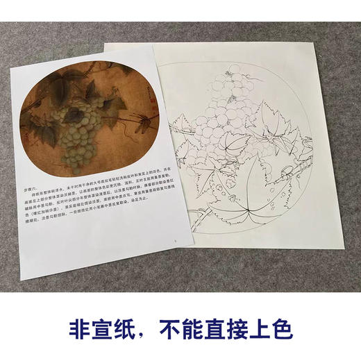 【有步骤、大彩图】李晓明工笔画白描底稿圆形小品《临宋葡萄草虫图》葡萄蜻蜓临摹勾线花鸟线稿KC11 商品图2