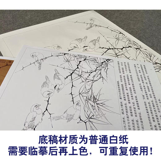 【有步骤、大彩图】李晓明工笔花鸟画白描底稿《临宋雪竹寒雏图》-斗方小品册页-KC14 商品图3