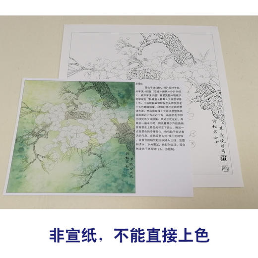 【有步骤、大彩图】李晓明工笔画白描底稿斗方小品《梨花小品》初学者高清打印稿 KB28 商品图2