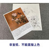 【有步骤、大彩图】李晓明工笔画白描底稿斗方小品《临宋海棠蛱蝶图》蝴蝶初学者临摹花鸟线稿KC13 商品缩略图2