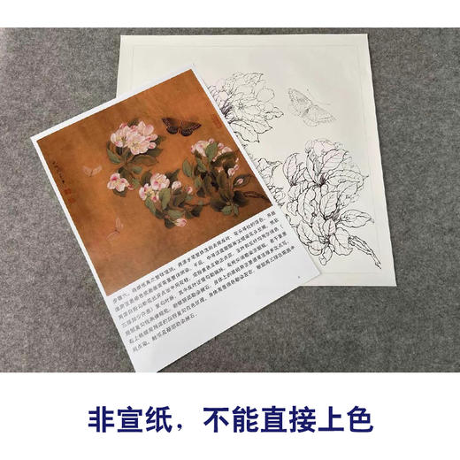 【有步骤、大彩图】李晓明工笔画白描底稿斗方小品《临宋海棠蛱蝶图》蝴蝶初学者临摹花鸟线稿KC13 商品图2