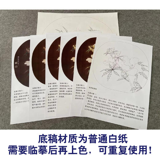 【有步骤、大彩图】李晓明工笔画白描底稿圆形小品《临宋秋葵图》秋葵花初学者临摹花鸟线稿KC07 商品图3