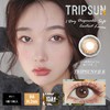 日抛 Tripsun 甜茶棕 商品缩略图5