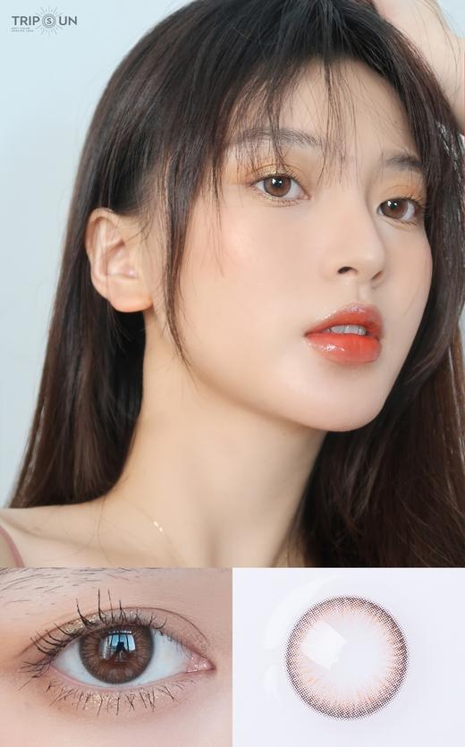 日抛 Tripsun 晚晴棕 商品图7