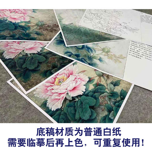 【有步骤、大彩图】李晓明工笔画白描底稿斗方小品《赛珠盘》牡丹初学者临摹花鸟线稿KD33 商品图3