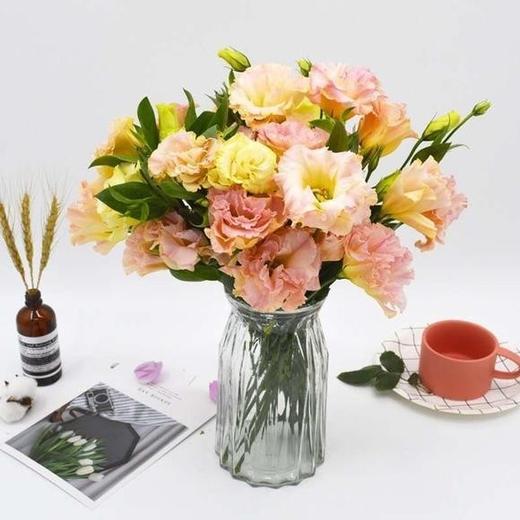 A桔梗香槟 商品图0